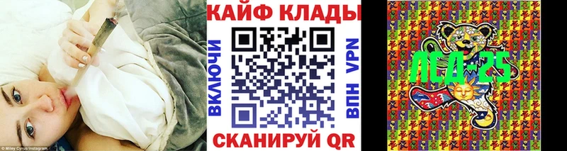 Все наркотики Городец Канабис МЕФ СК Гашиш Псилоцибиновые грибы Cocaine