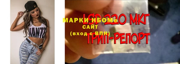 гидропоника Вяземский