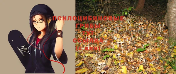 дживик Вязники
